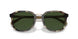 575571 - Tortoise - Green Solid