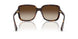 500313 - Tortoise - Brown Gradient