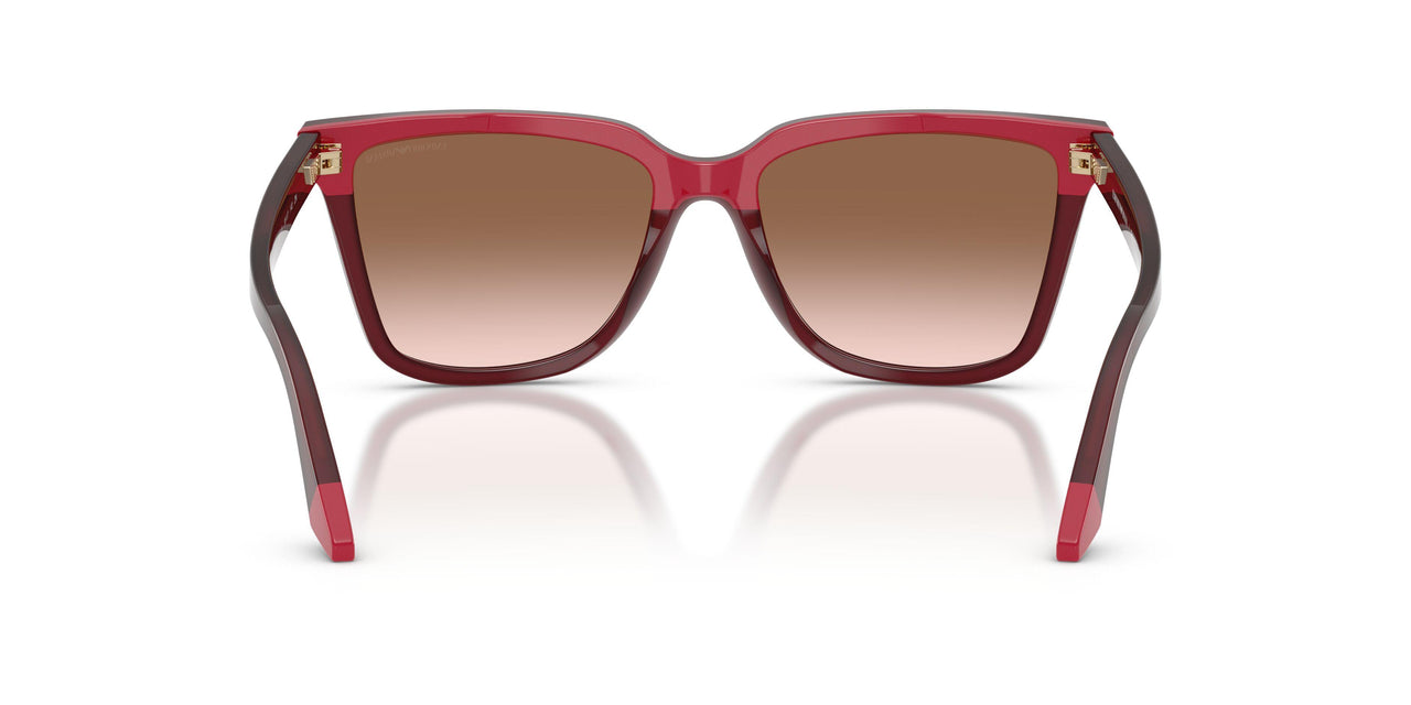 632013 - Red - Brown Gradient