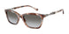 61953C - Tortoise - Grey Gradient