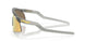 922910 - Grey - Prizm 24k