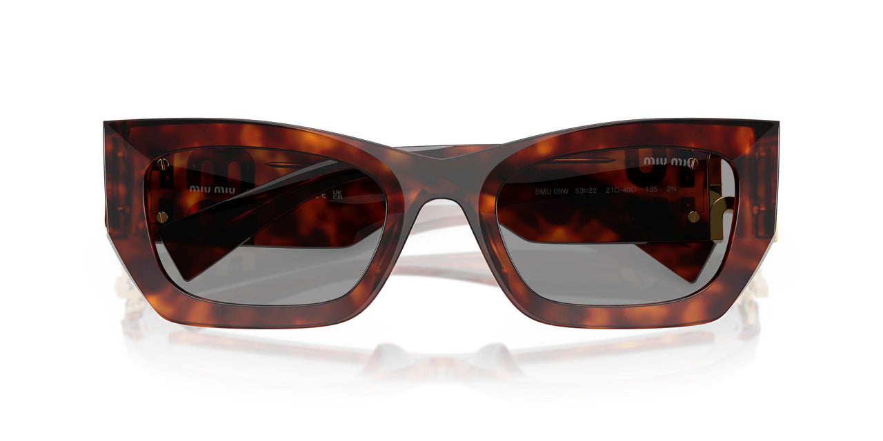 21C40O - Tortoise - Grey