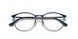 2981 - Blue