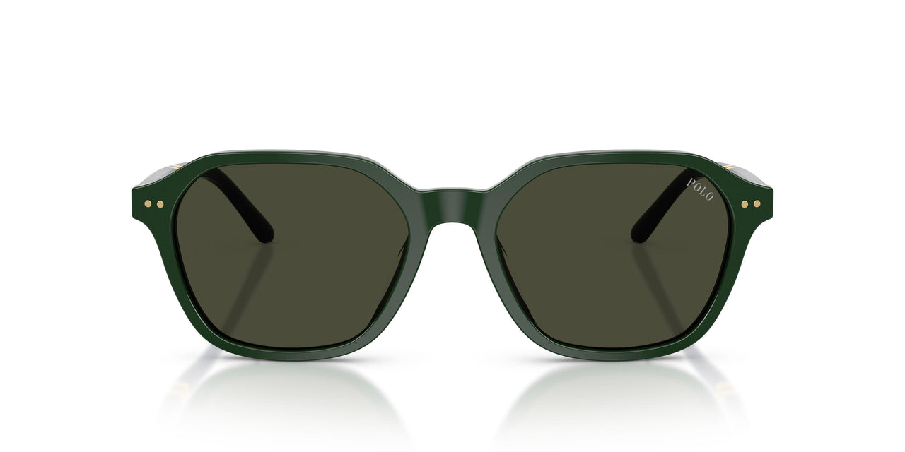 614082 - Green - Brown