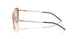 301113 - Gold - Brown Grey Gradient