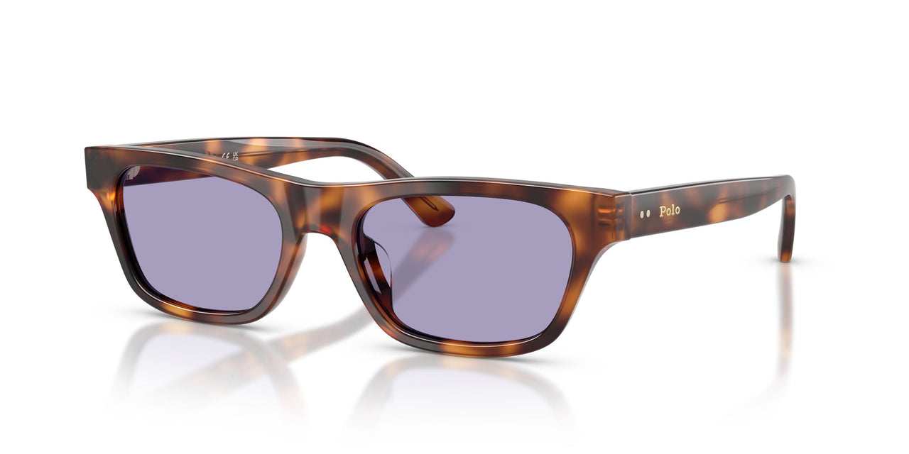 63551A - Tortoise - Lilac