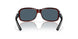 904207 - 76 Retro Tortoise - Gray 580p