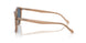31894Y - Brown - Blue Polar