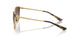 507813 - Brown - Gradient Brown