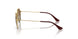 223/T5 - Gold - Grey Gradient Brown Polar
