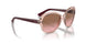 286414 - Transparent Pink - Pink gradient brown