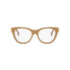 045 - Shiny Brown - DEMO