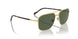 280/9A - Gold - Dark Green Polarized
