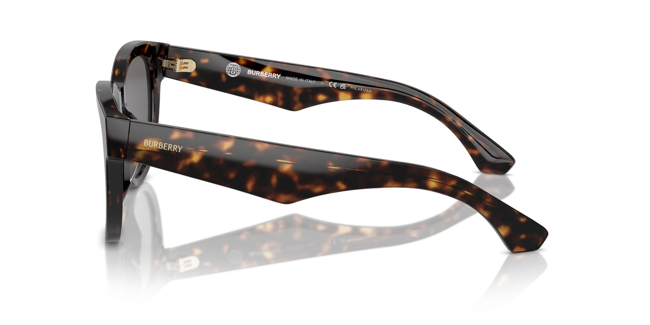 300281 - Brown - Dark Grey Polarized