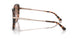 344913 - Tortoise - Brown Pink Gradient
