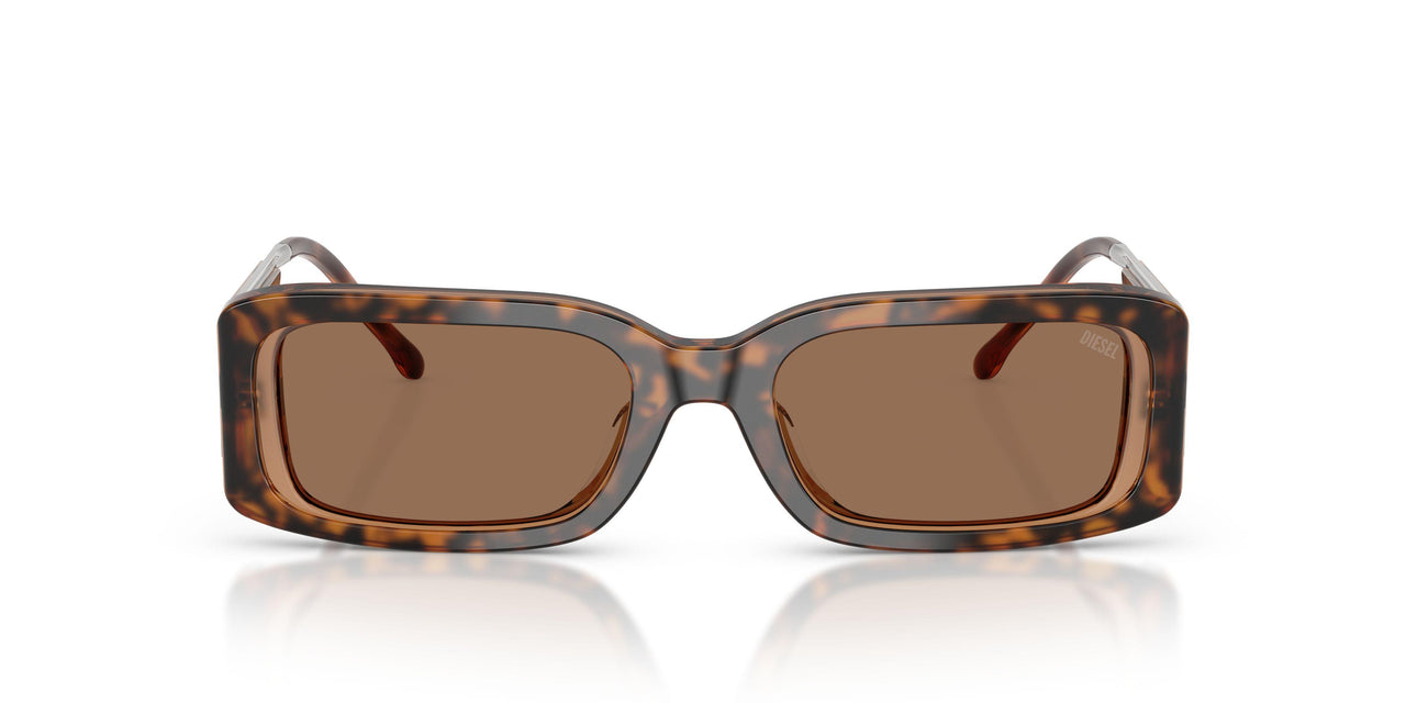 205073 - Tortoise - Dark Brown