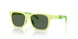 423771 - Green - Dark Green