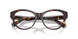 3002 - Brown