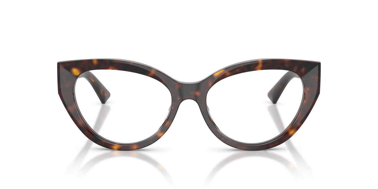 5113 - Tortoise