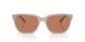 58843 - Brown - Brown Solid