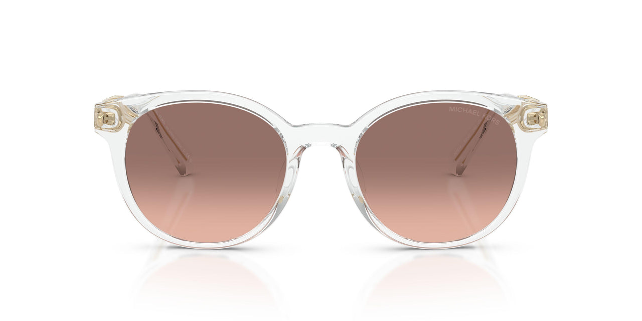 301513 - Transparent - Pink Gradient Dark Brown
