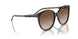 W65613 - Havana - Gradient Brown