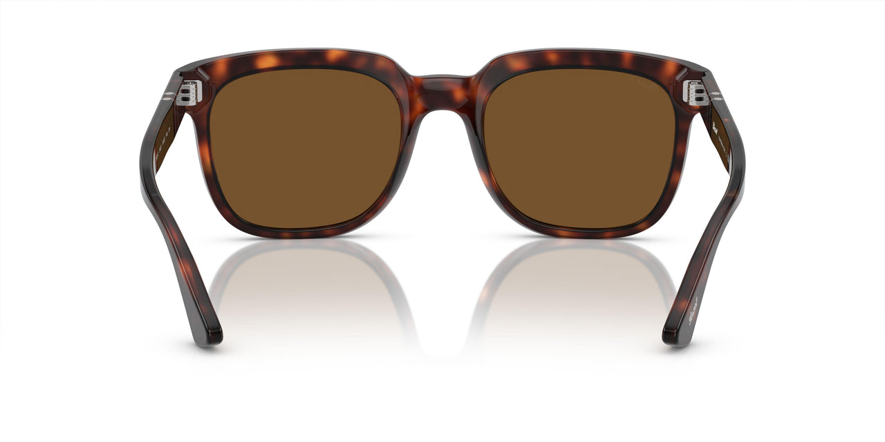 24/57 - Tortoise - Brown Polar