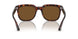24/57 - Tortoise - Brown Polar