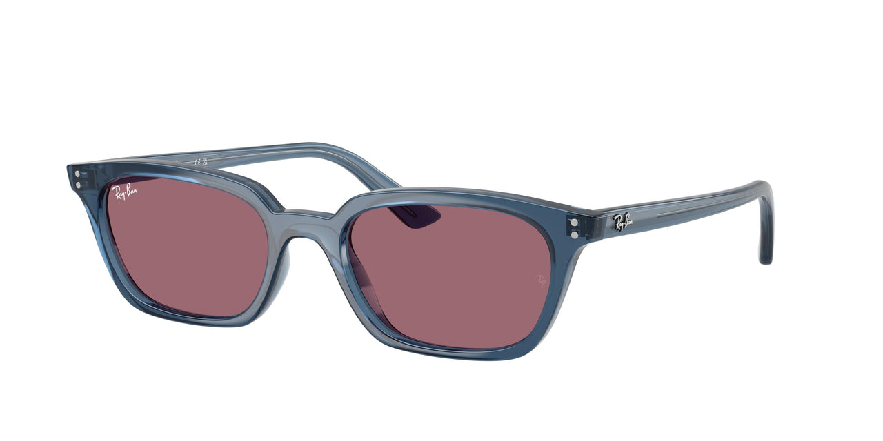 Ray-Ban Zaya 4456F Sunglasses