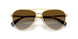 4037T5 - Gold - Gradient Brown Polar