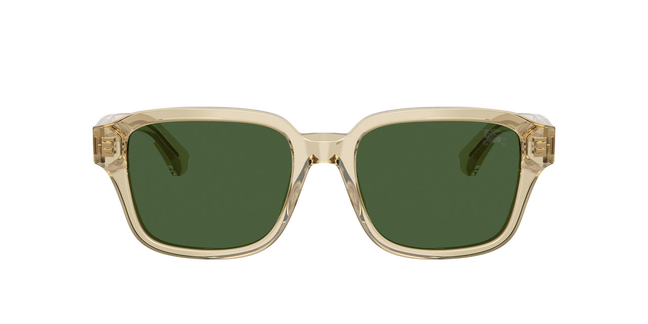 422671 - Beige - Dark Green