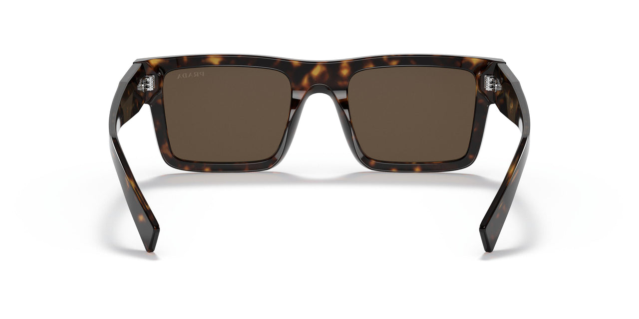 2AU8C1 - Havana - Dark Brown