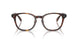 6137 - Tortoise