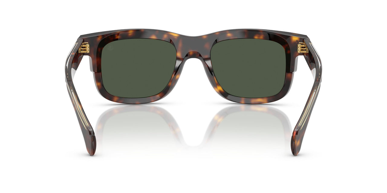 30029A - Tortoise - Green Polar