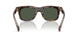 30029A - Tortoise - Green Polar