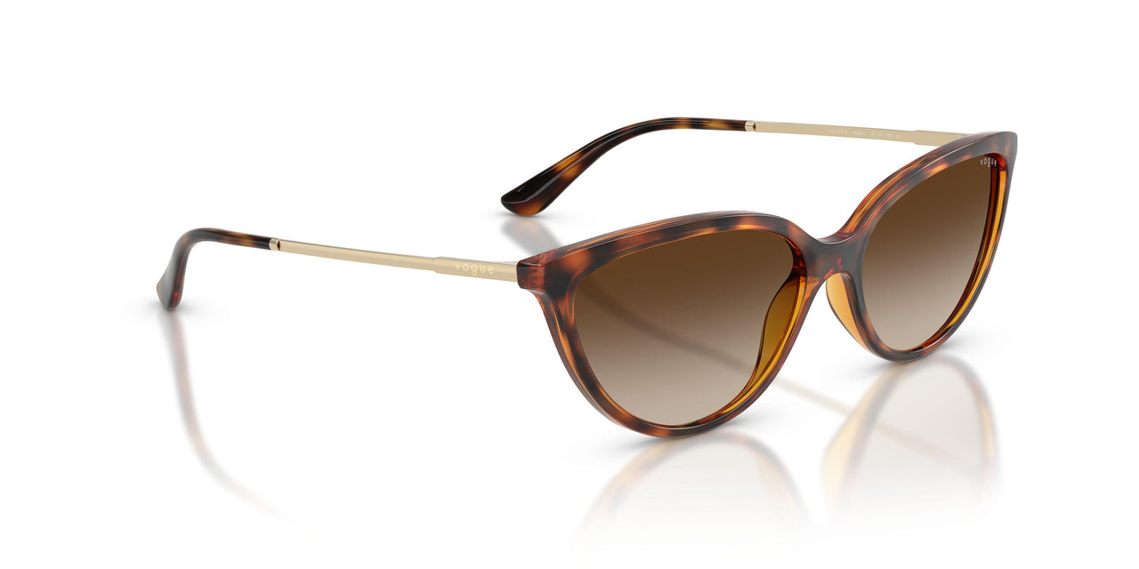 W65613 - Brown - Gradient Brown