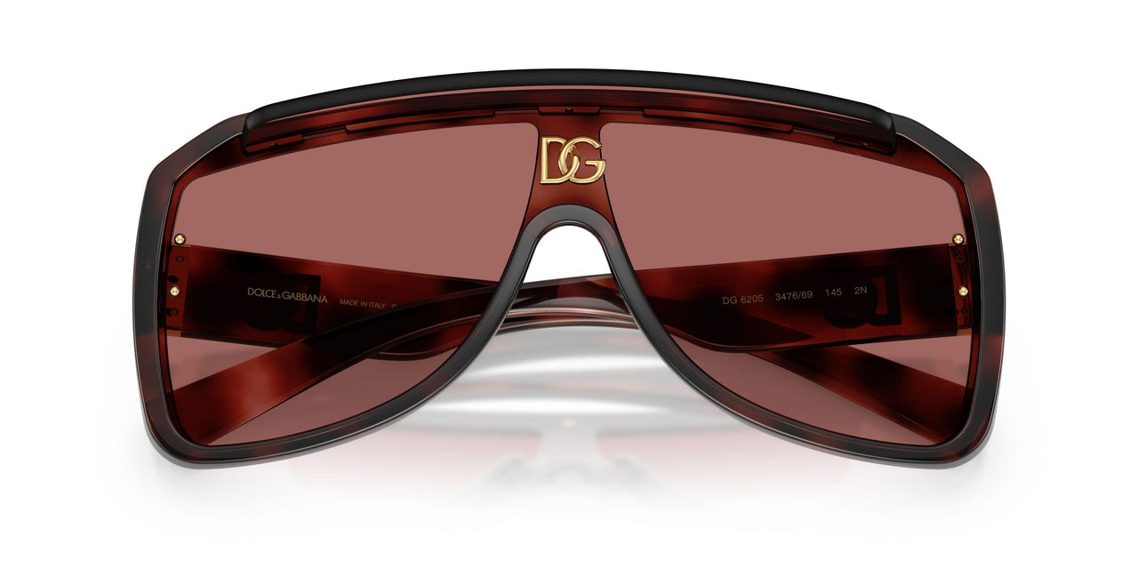 347669 - Tortoise - Dark Violet
