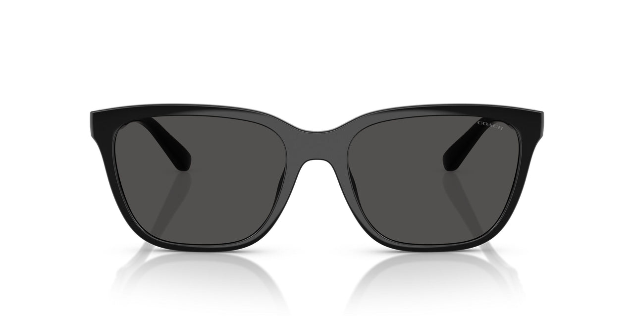 500287 - Black - Grey Solid