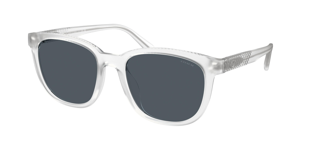 Coach Cca00 8442U Sunglasses