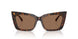 500273 - Tortoise - Dark Brown