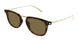006 - Havana/Gold - Brown