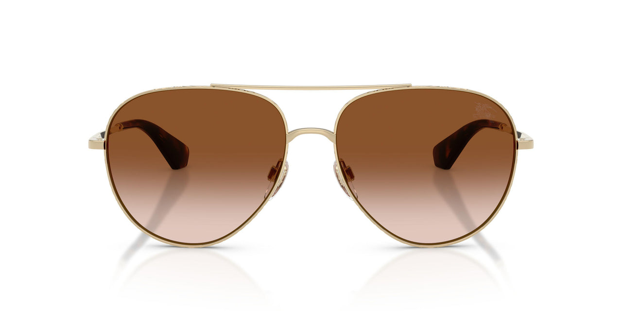 110913 - Gold - Brown Gradient