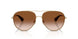 110913 - Gold - Brown Gradient