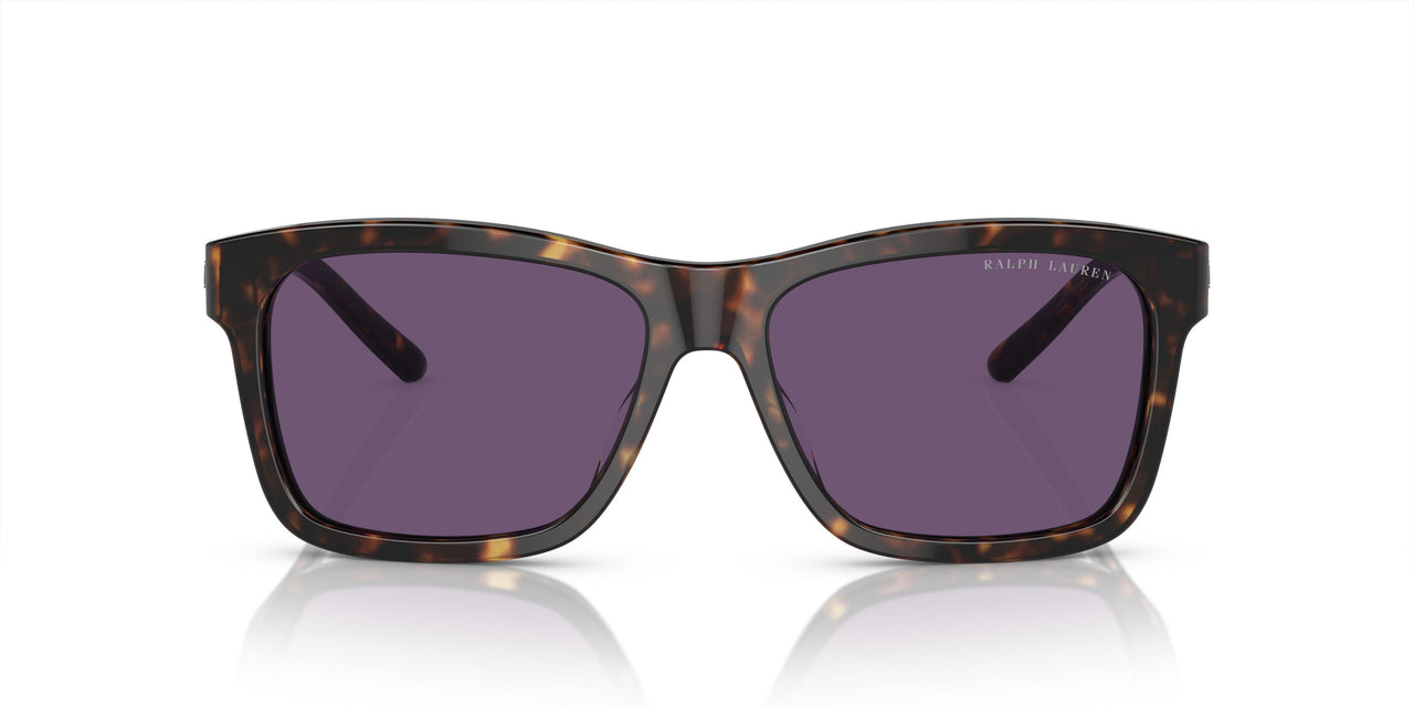 50031A - Tortoise - Purple