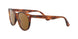 954/33 - Havana - Brown