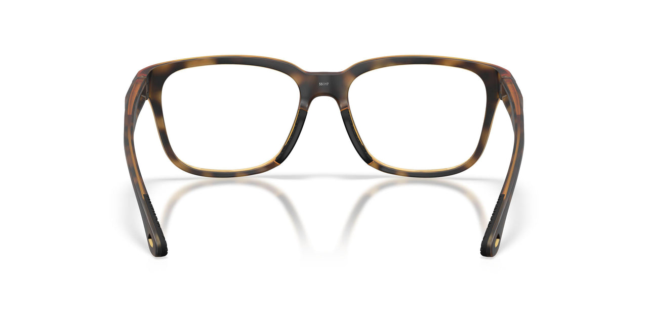 803202 - Tortoise
