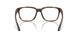 803202 - Tortoise