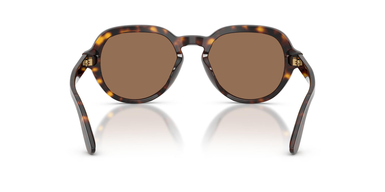 502/73 - Tortoise - Dark Brown