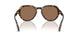 502/73 - Tortoise - Dark Brown