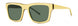 Paradigm Teagan Sunglasses